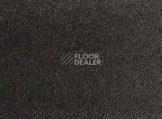 Ковролин  Graphit фото 1 | FLOORDEALER